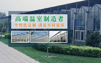 qq游戏大厅德州扑克